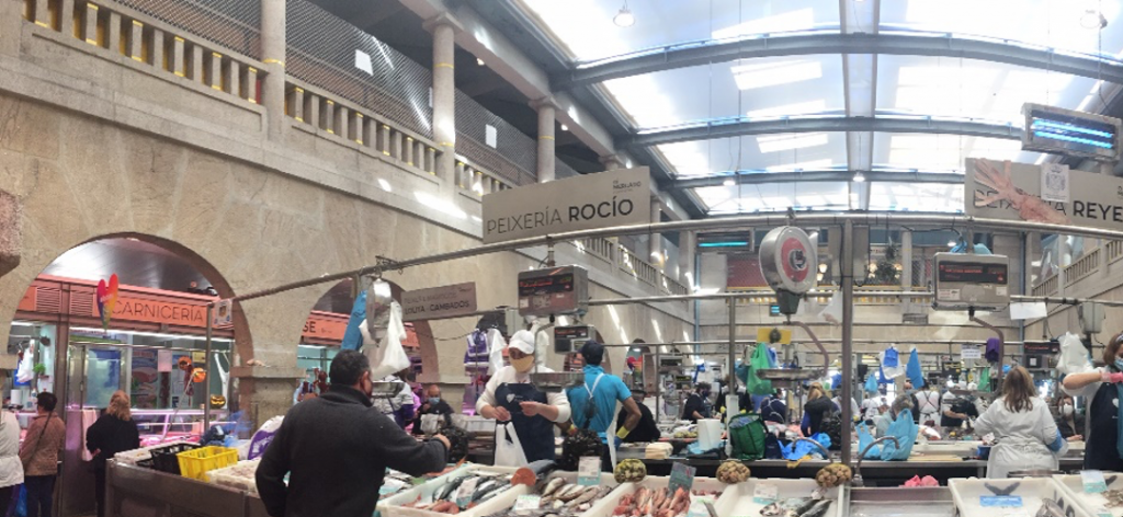 O’Bioco: Visita guiada por la Plaza de Pontevedra – “BIOQUING”